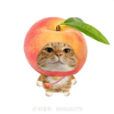 Dingxin Tao avatar